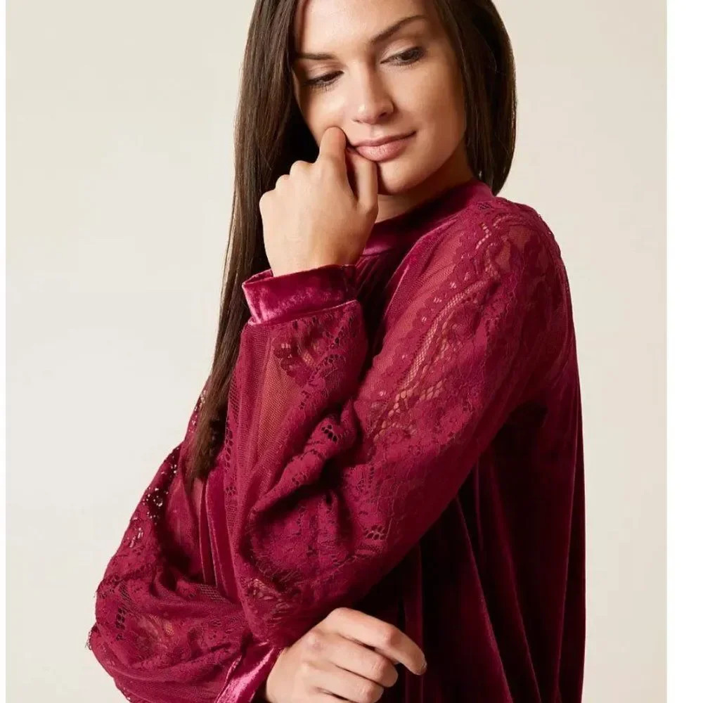 NWT Free People Raspberry Dream Team top, velvet with mesh sleeves & embroidery - Picture 2 of 10